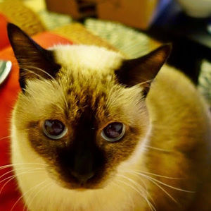 Meet your Posher, Omar